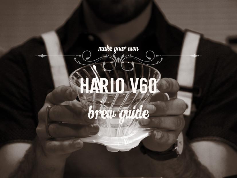 Brew Guide Hario V60